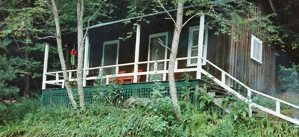 The Cabins At Healing Springs Crumpler Bagian luar foto