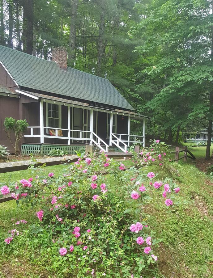 The Cabins At Healing Springs Crumpler Bagian luar foto